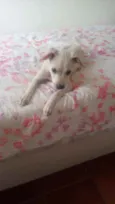 Nina
