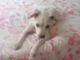 Nina