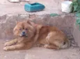 Desconheço