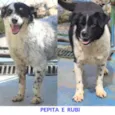 PEPITA E RUBI