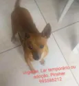 Minduin
