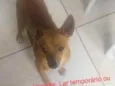 Minduin
