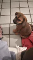 Bebe e baby
