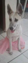 Valentina