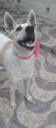 Valentina