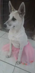 Valentina