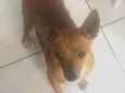 Minduin