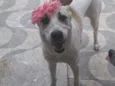Valentina