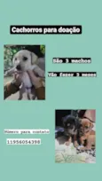 sem nome