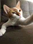 Matilda