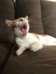 Matilda