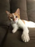 Matilda