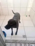 Thor Labmix 
