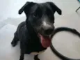 Bonita