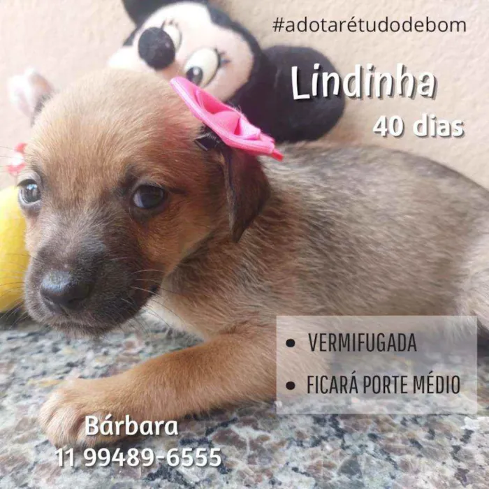 Lindinha
