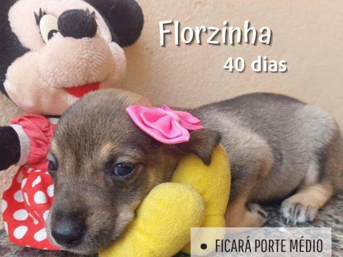 Florzinha