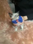 Logan