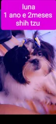 Luna 
