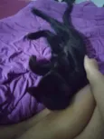 Bagheera