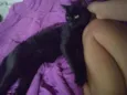Bagheera