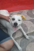 Cloe