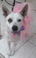 Cloe