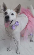Cloe