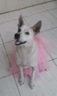 Cloe