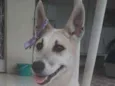 Valentina
