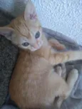 Amarelinha