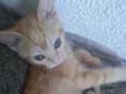 Amarelinha