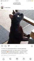 Pretinha