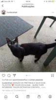 Pretinha