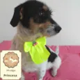 Princesa