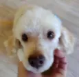 Kin