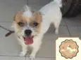 Xuxu