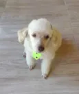 Kin