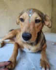 Rubi