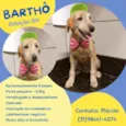 Bartho