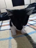 Lili