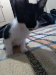 Lili