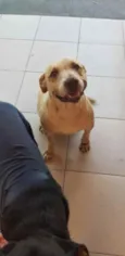 MEL