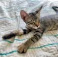 Sebastião