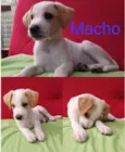 Lindos bebês
