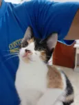 Não sei