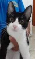 Não sei