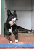 MÃEZINHA E GURI