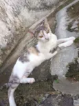 Julieta 