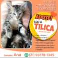Tilica