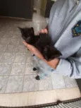 Tom e jerry